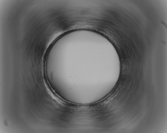 X0000097821038200804041354