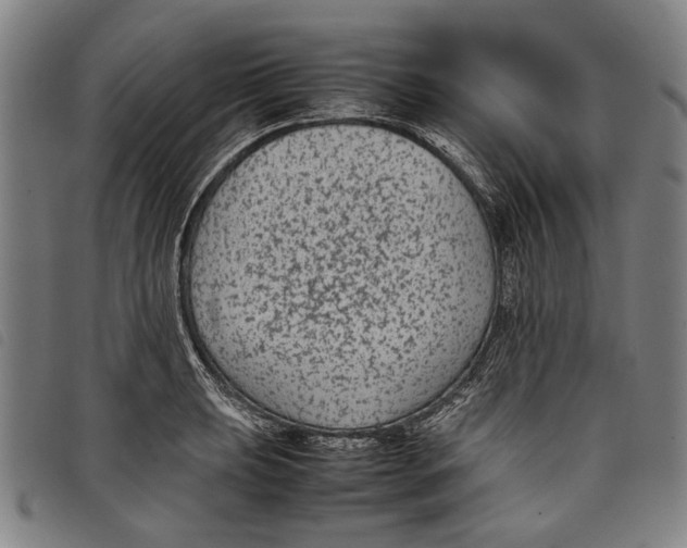 X0000097821039200804041354