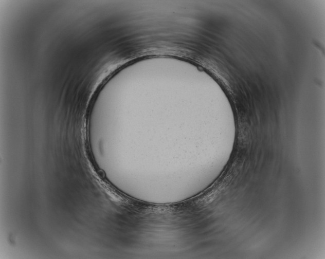 X0000097821040200804041354