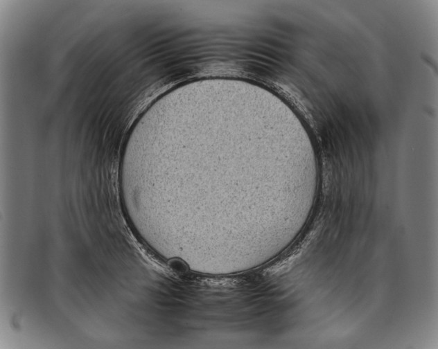 X0000097821041200804041354