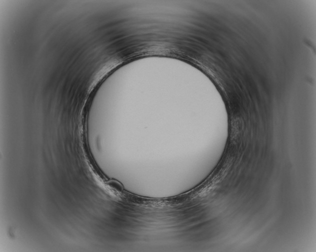 X0000097821042200804041354