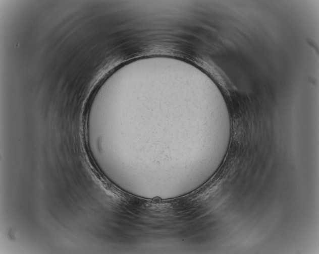 X0000097821043200804041354