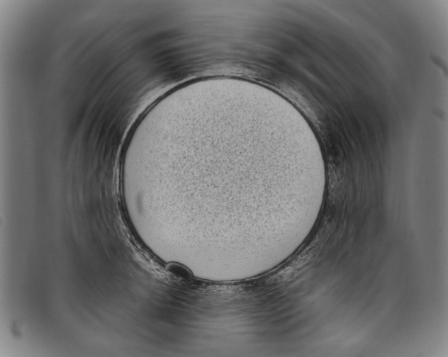 X0000097821044200804041354