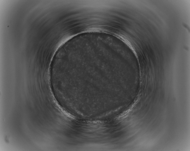 X0000097821045200804041354