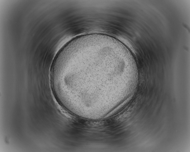 X0000097821047200804041354