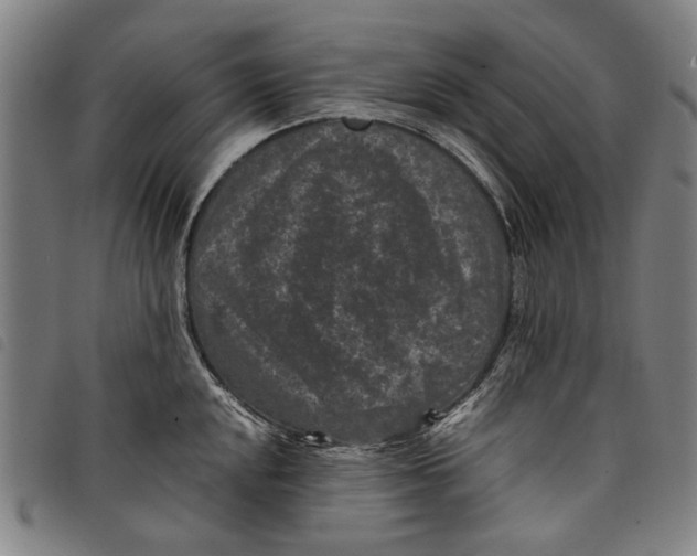 X0000097821048200804041354