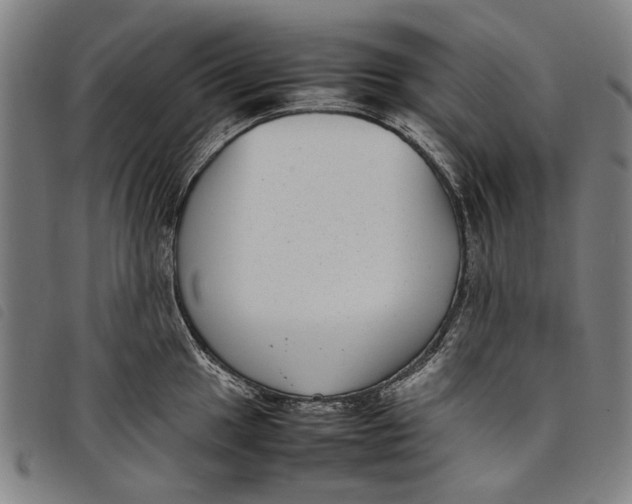 X0000097821049200804041354