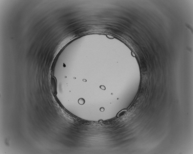 X0000097821050200804041354