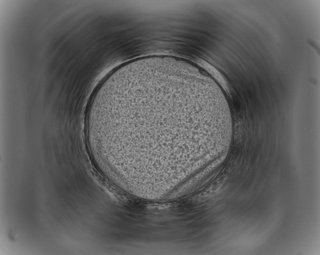 X0000097821051200804041354