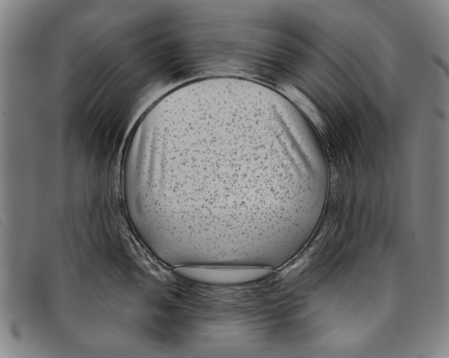 X0000097821052200804041354