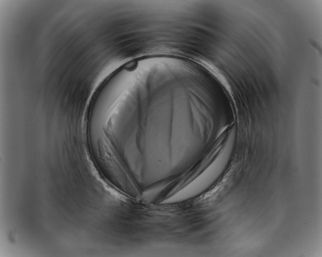 X0000097821053200804041354