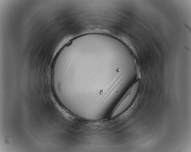 X0000097821054200804041354