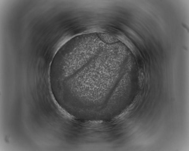 X0000097821055200804041354