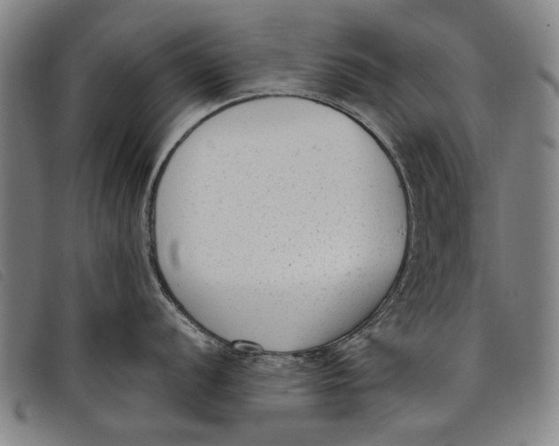 X0000097821056200804041354