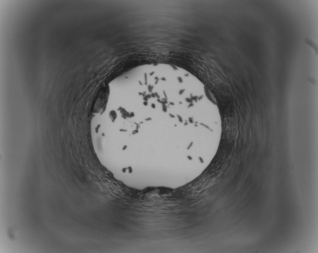 X0000097821057200804041354