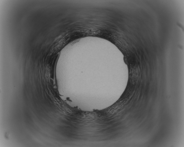 X0000097821058200804041354