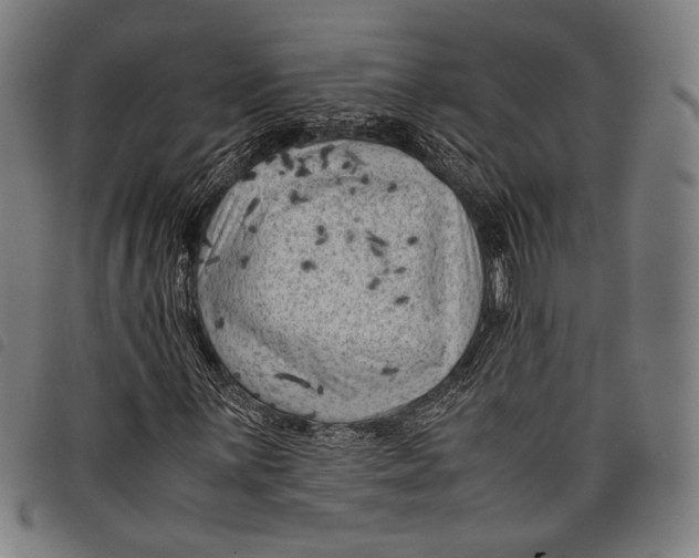 X0000097821059200804041354