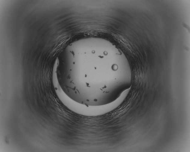 X0000097821060200804041353