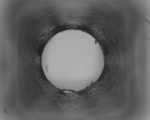 X0000097821061200804041353