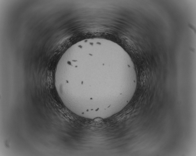 X0000097821062200804041353