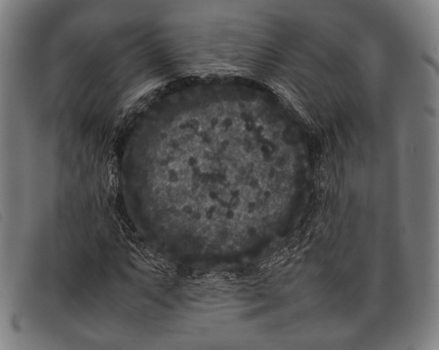 X0000097821063200804041353