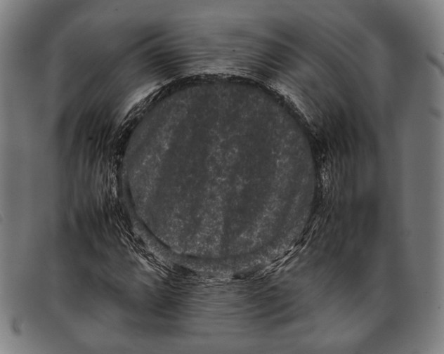 X0000097821064200804041353