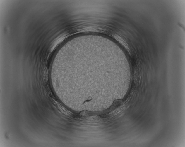 X0000097821067200804041353