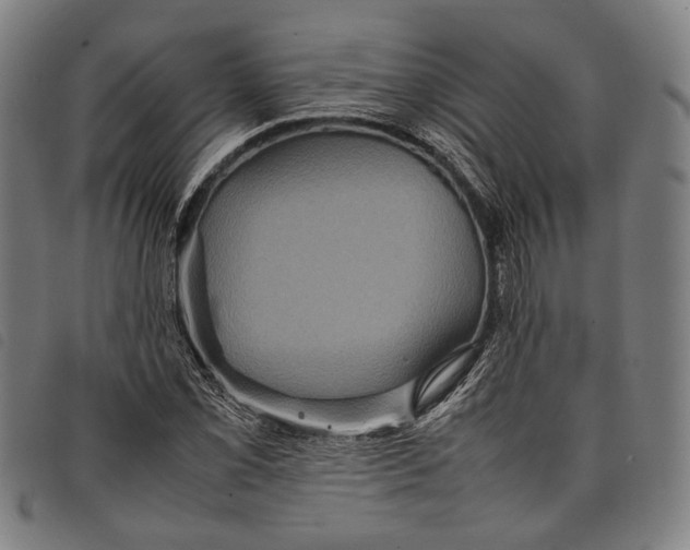 X0000097821069200804041353