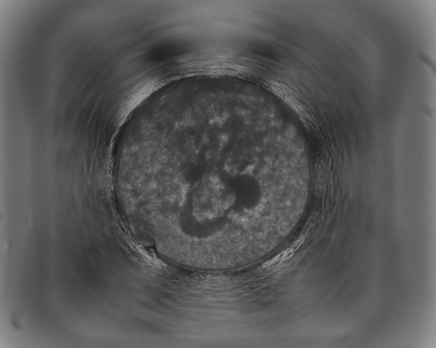 X0000097821071200804041353