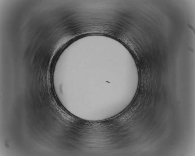 X0000097821072200804041353