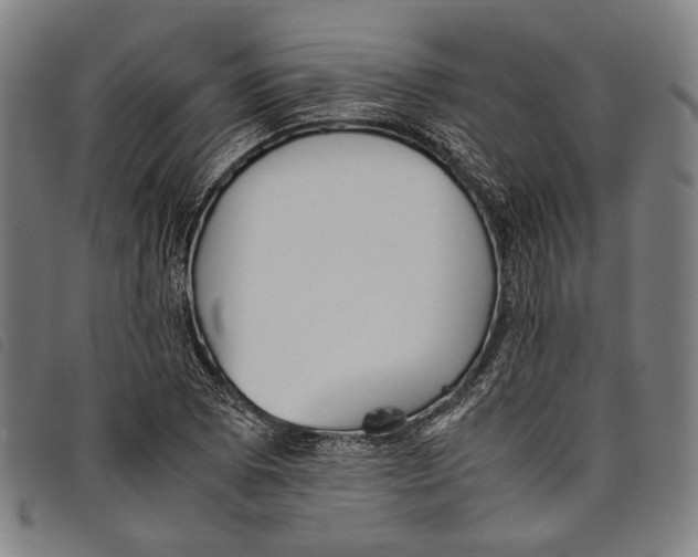 X0000097821073200804041353