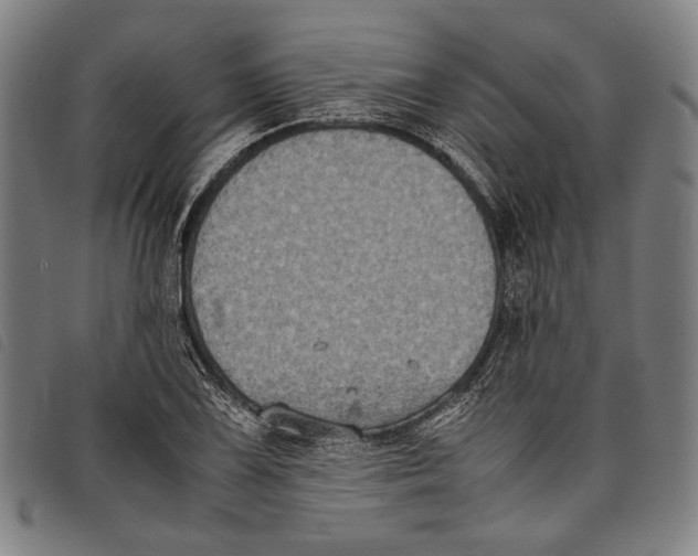 X0000097821075200804041353