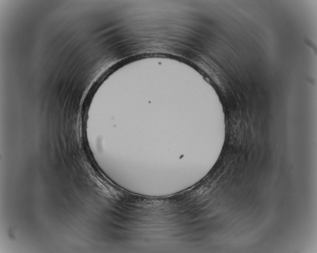 X0000097821076200804041353