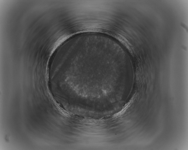 X0000097821077200804041353