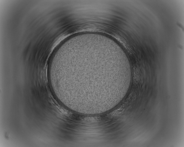 X0000097821078200804041353