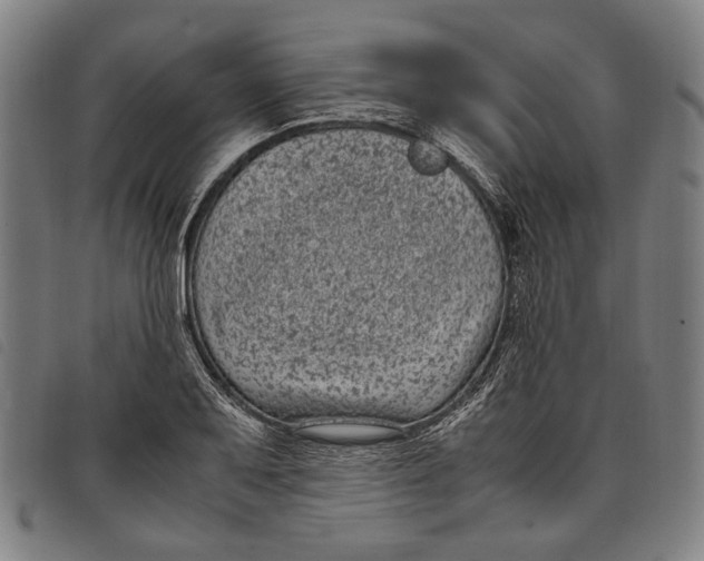 X0000097821079200804041353