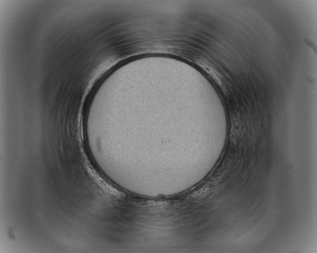 X0000097821080200804041353