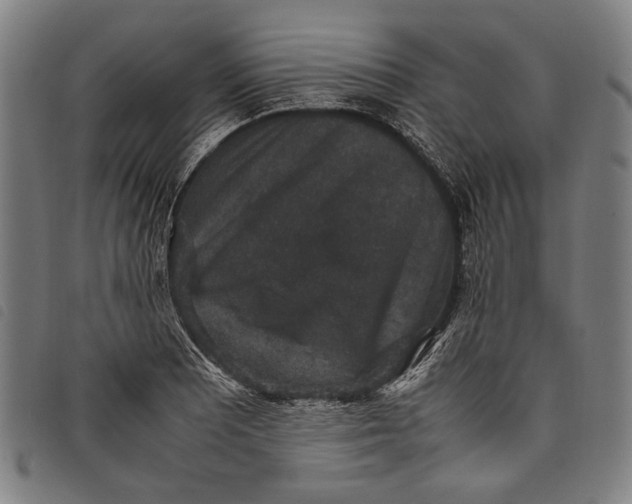 X0000097821081200804041353