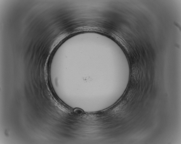 X0000097821082200804041353