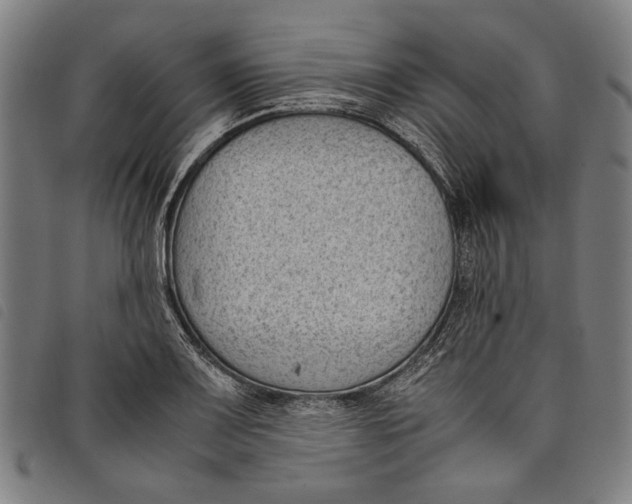 X0000097821083200804041353