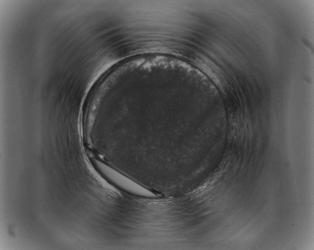 X0000097821084200804041353