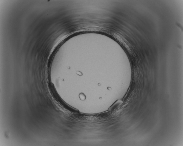 X0000097821085200804041353