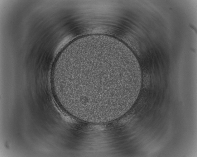 X0000097821086200804041353