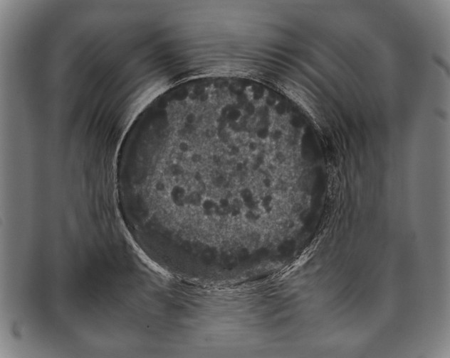 X0000097821087200804041353