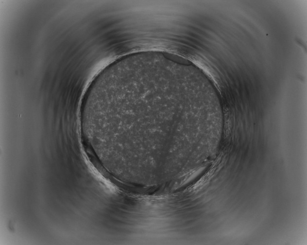 X0000097821088200804041353