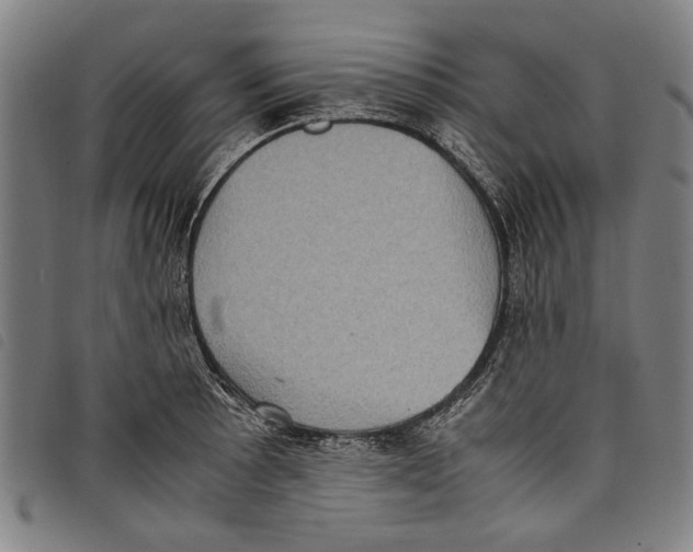 X0000097821089200804041353