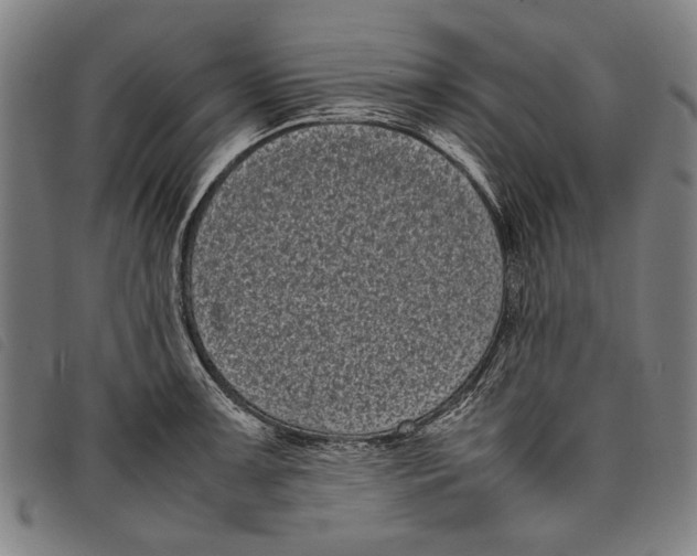 X0000097821091200804041353