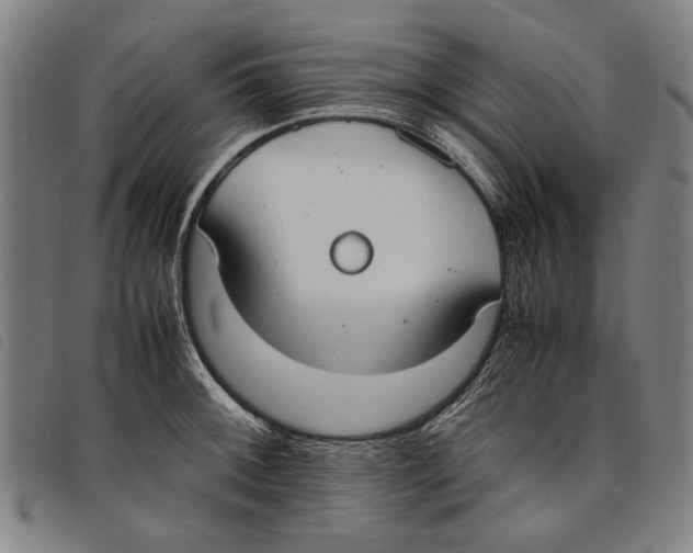 X0000097821092200804041353