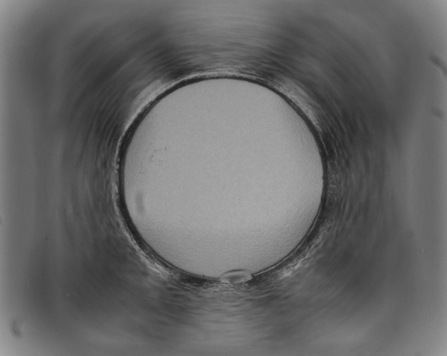 X0000097821093200804041353