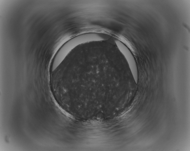 X0000097821095200804041353